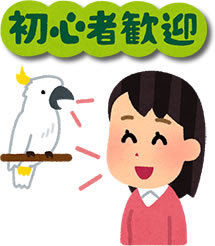 初心者歓迎