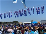 青い鯉のぼり2019